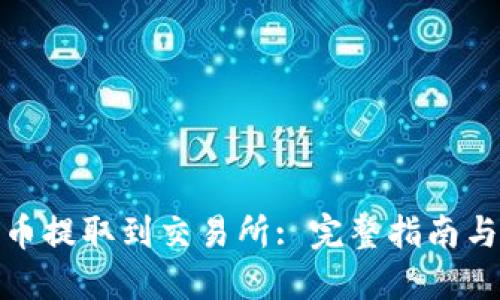 如何将TP币提取到交易所: 完整指南与操作步骤