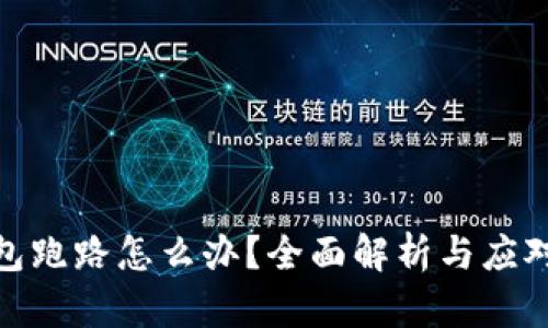 TP钱包跑路怎么办？全面解析与应对措施