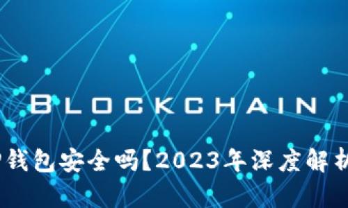 USDT放在TP钱包安全吗？2023年深度解析与风险防范