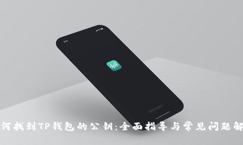 如何找到TP钱包的公钥：全面指导与常见问题解答
