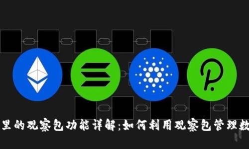 TP钱包里的观察包功能详解：如何利用观察包管理数字资产