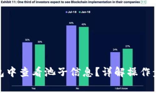 : 如何在TP钱包中查看池子信息？详解操作步骤与注意事项
