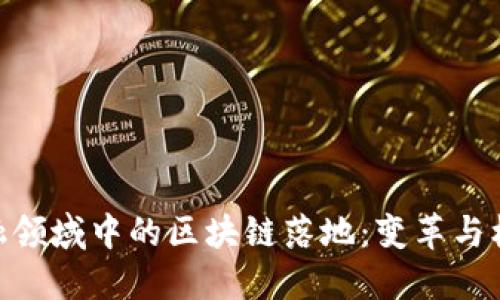 金融领域中的区块链落地：变革与机遇