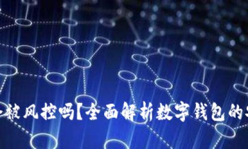 TP钱包的币会被风控吗？全面解析数字钱包的安全性与风险