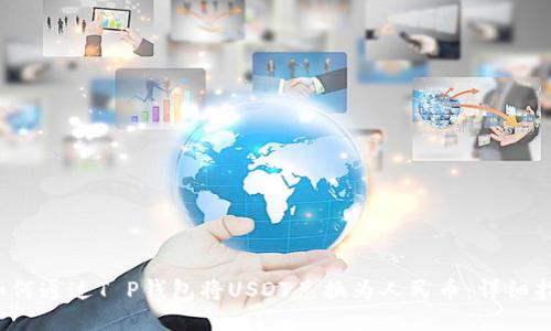  如何通过T P钱包将USDT兑换为人民币：详细指南