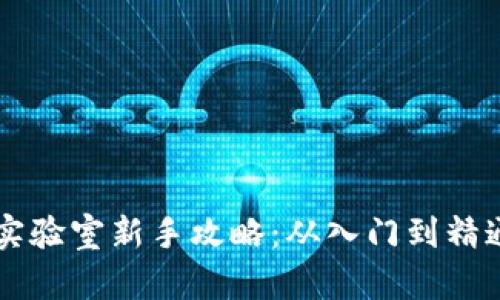 区块链游戏实验室新手攻略:从入门到精通的全面指南